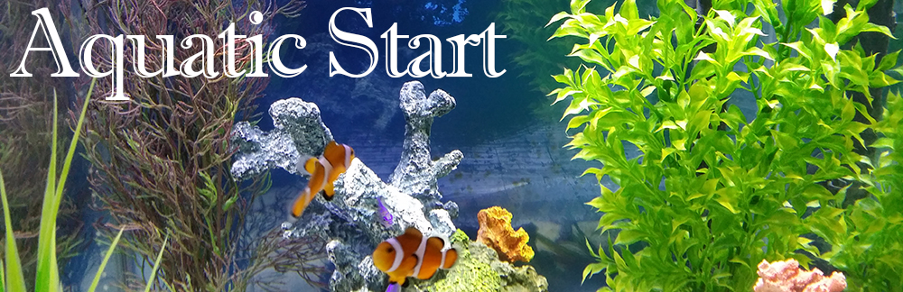 ./header2_1773409435318